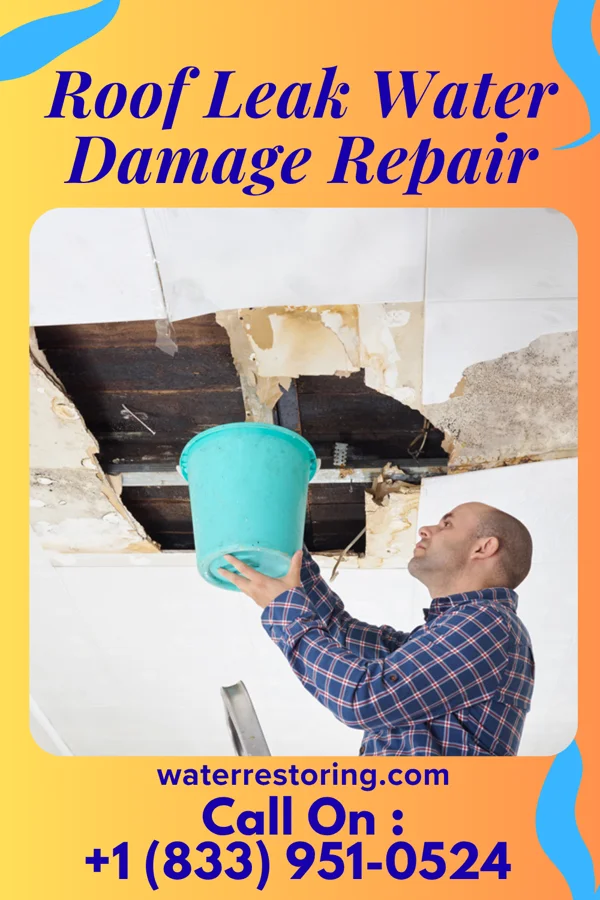 Roof Leak Water Damage Repair in Newman, IL