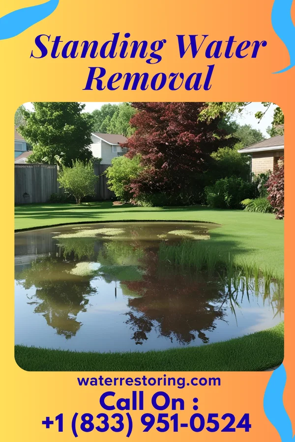 Standing Water Removal in Newman, IL